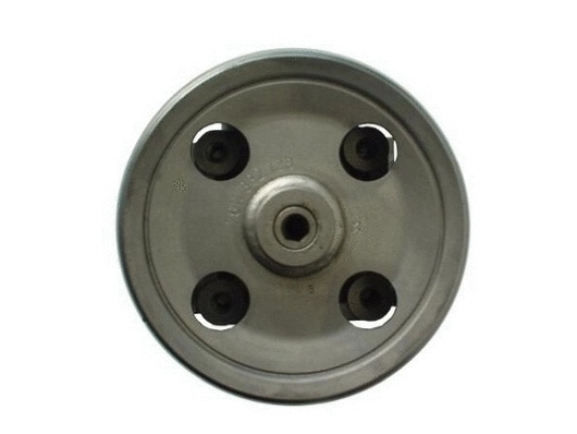 Hydraulic Pump, steering (54353)