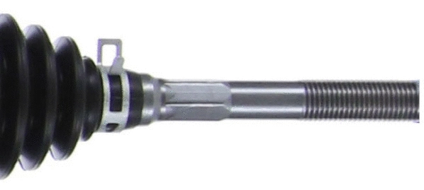 Steering Gear