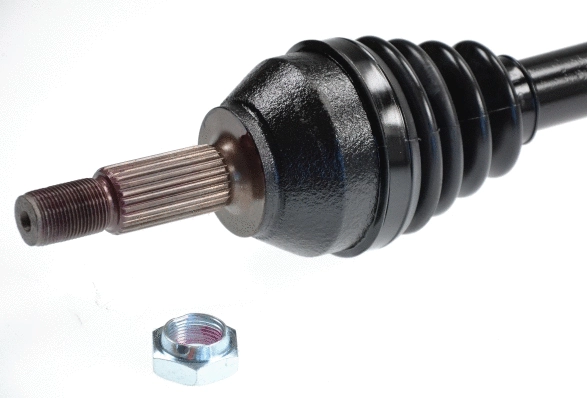 Drive Shaft