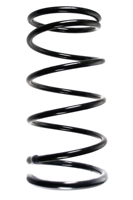 Suspension Spring (85241)