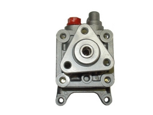 Hydraulic Pump, steering (54221)