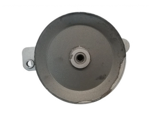Hydraulic Pump, steering (53541)