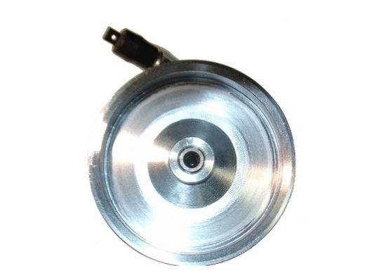 Hydraulic Pump, steering (54139)