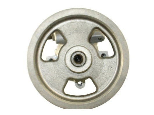 Hydraulic Pump, steering (54303)