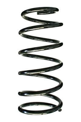 Suspension Spring (48152)