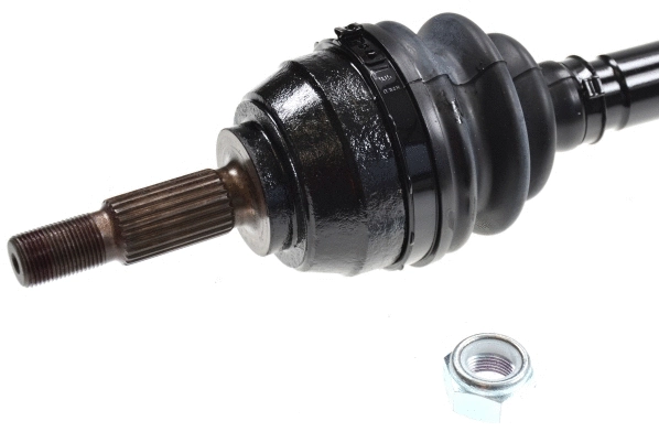 Drive Shaft