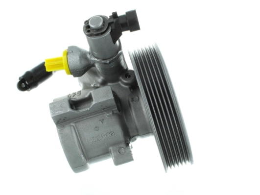 Hydraulic Pump, steering (GKNY10137)