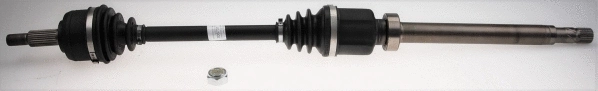 Drive Shaft