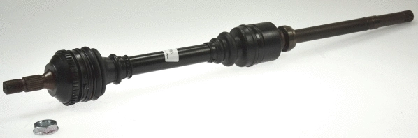 Drive Shaft (21956)