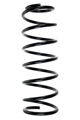 Suspension Spring (48244)