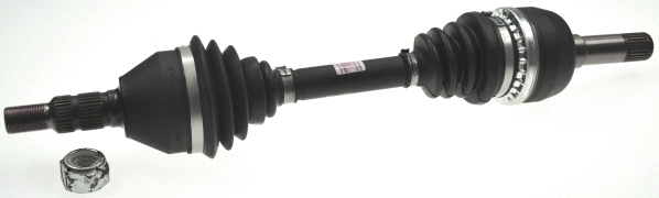 Drive Shaft (36123)