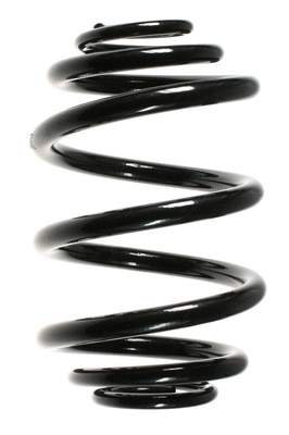 Suspension Spring (49030)