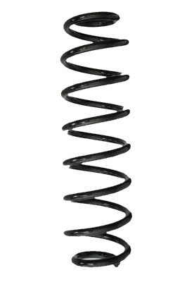 Suspension Spring (88055)