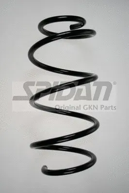 Suspension Spring (85923)