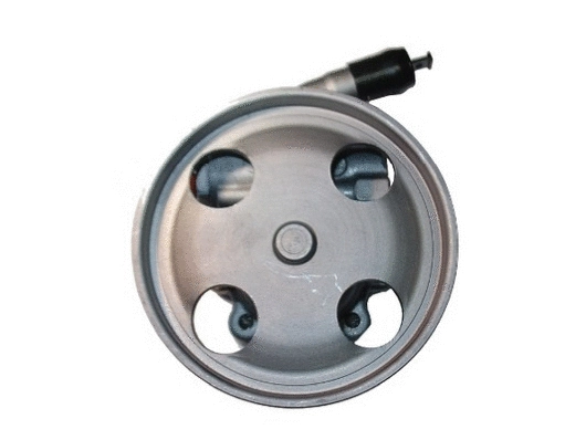 Hydraulic Pump, steering (54224)