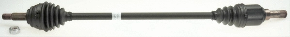 Drive Shaft (36212)