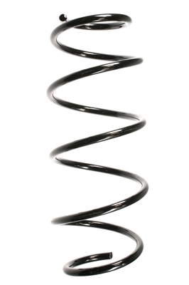Suspension Spring (55273)