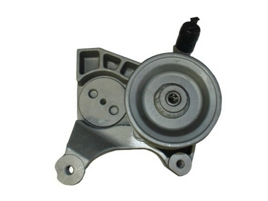 Hydraulic Pump, steering (54327)