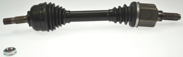 Drive Shaft (21973)