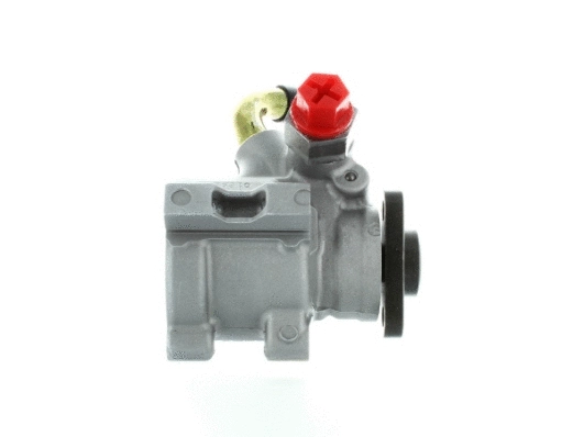 Hydraulic Pump, steering (54411)