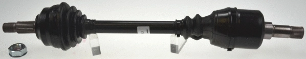 Drive Shaft (24793)