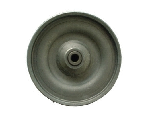 Hydraulic Pump, steering (53633)
