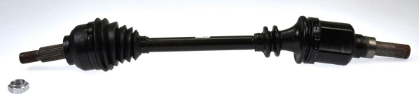 Drive Shaft (24578)