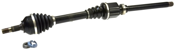 Drive Shaft (21974)