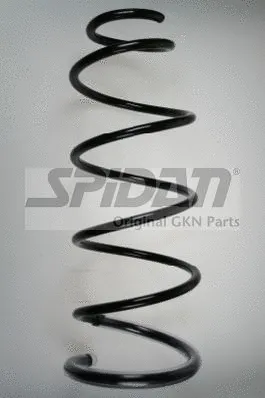 Suspension Spring (85008)