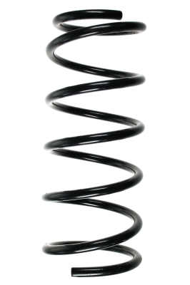 Suspension Spring (48153)