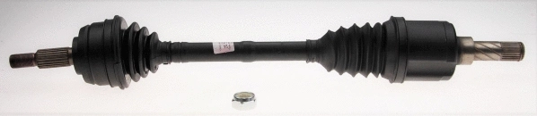 Drive Shaft (25737)