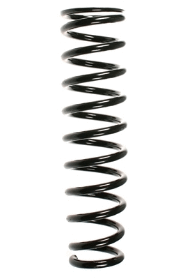 Suspension Spring (55380)
