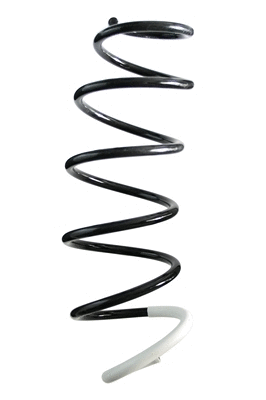 Suspension Spring (85848)