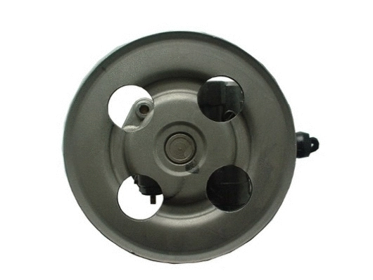 Hydraulic Pump, steering (54381)