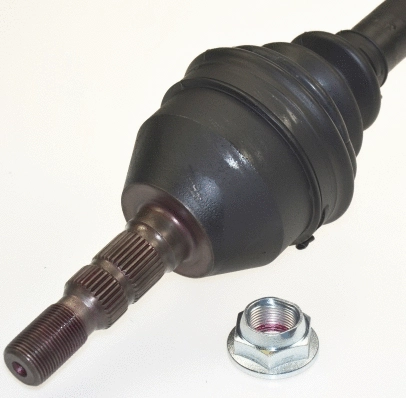 Drive Shaft