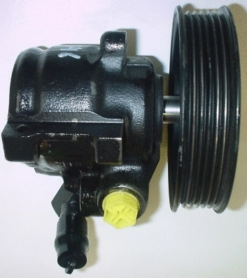 Hydraulic Pump, steering (53846)