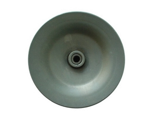 Hydraulic Pump, steering (54345)