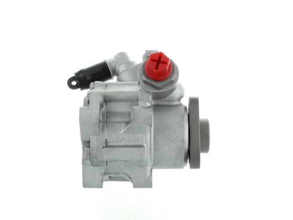 Hydraulic Pump, steering (54431)