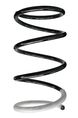 Suspension Spring (86395)
