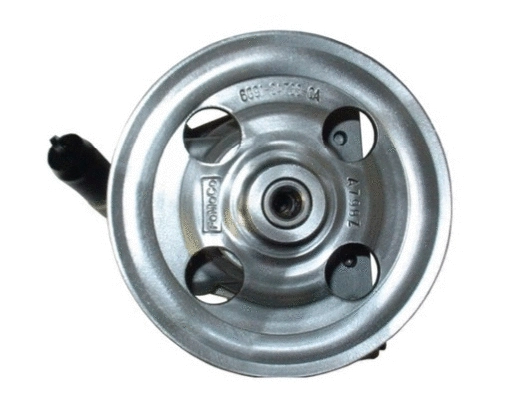 Hydraulic Pump, steering (54389)