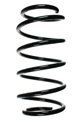 Suspension Spring (48520)