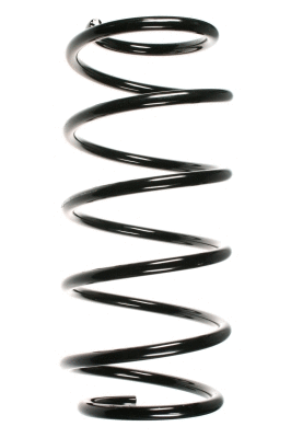 Suspension Spring (48200)