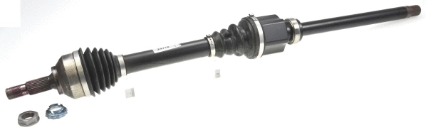 Drive Shaft (24718)