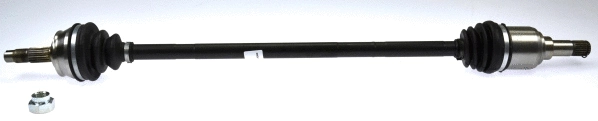 Drive Shaft (22847)