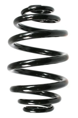 Suspension Spring (48456)