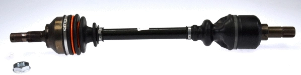 Drive Shaft (21966)