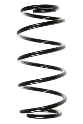 Suspension Spring (48491)