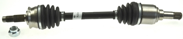 Drive Shaft (23792)