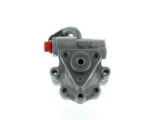 Hydraulic Pump, steering (54369)