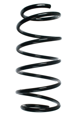 Suspension Spring (48519)